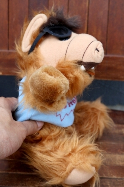 画像5: ct-260325-24 ALF / 1980's Plush Doll "No Problem"