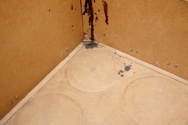 画像11: dp-251201-20 MUG ROOT BEER・Schweppes 1960's-1970's Cardboard Crate Box