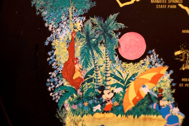 画像6: ct-260601-05 Walt Disney World / 1970's Serving Tin Tray