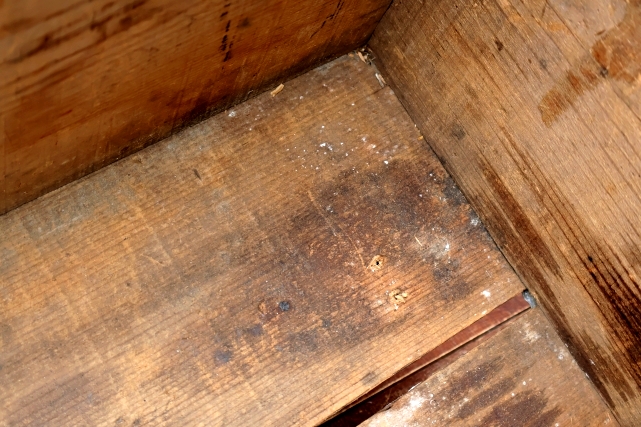 画像13: dp-260801-20 CANADA DRY / 1960's Wood Crate Box
