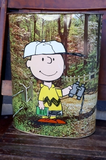 画像5: ct-260901-07 Snoopy & Charlie Brown / CHEINCO 1960's-1970's Trash Can